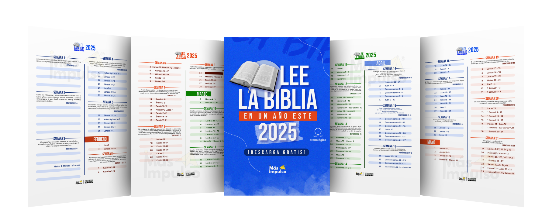 Plan de la biblia en un año 2025