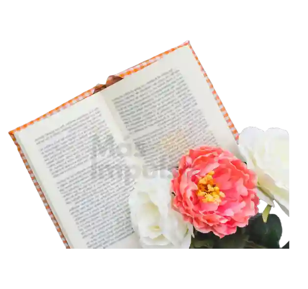 Ideas para trabajar con damas en la iglesia