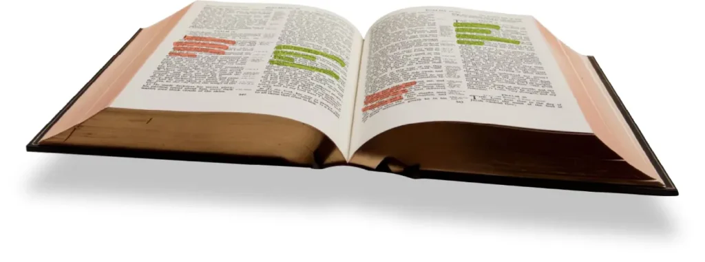Leer la Biblia en un año